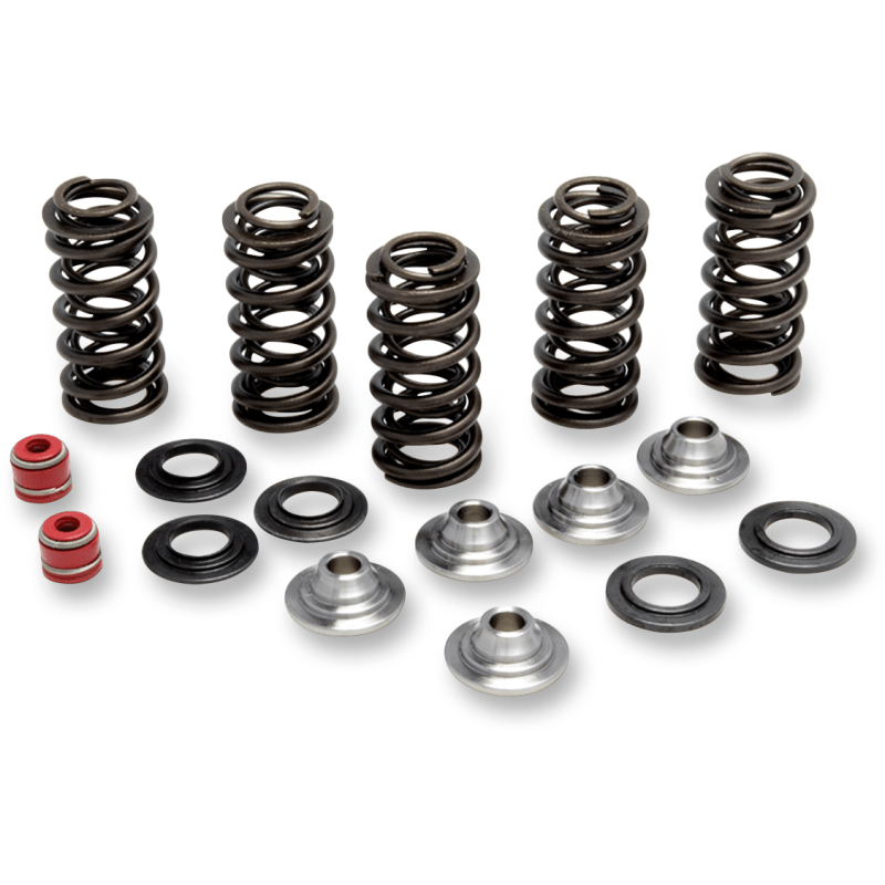 KIBBLEWHITE YZ250F SPRING KIT 00 - 03 (80 - 80066) - DRIVEN Canada's Powersports 80 - 80066