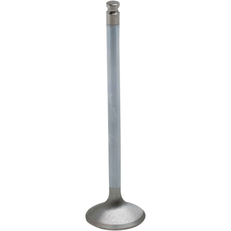 KIBBLEWHITE YZ450 INT VALVE STD (80 - 80213H) - DRIVEN Canada's Powersports 80 - 80213H