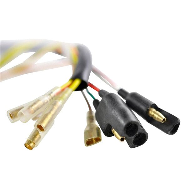 KIMPEX FLYWHEEL AND STATOR (SF - 900 - 006568) - DRIVEN Canada's Powersports 779421882181SF - 900 - 006568