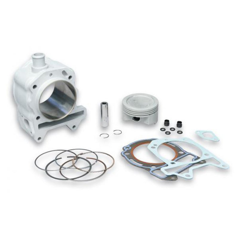 MALOSSI ALUMINUM CYLINDER KIT (3111473) - DRIVEN Canada's Powersports 31114733111473