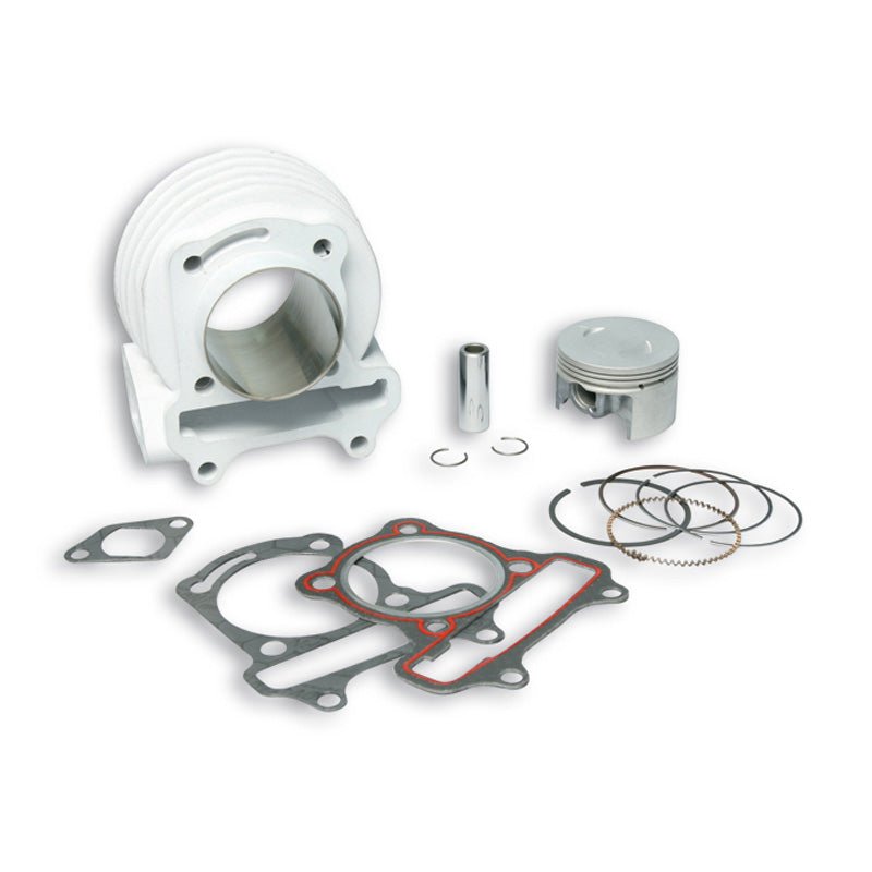 MALOSSI ALUMINUM CYLINDER KIT (3113243) - DRIVEN Canada's Powersports 44431132433113243