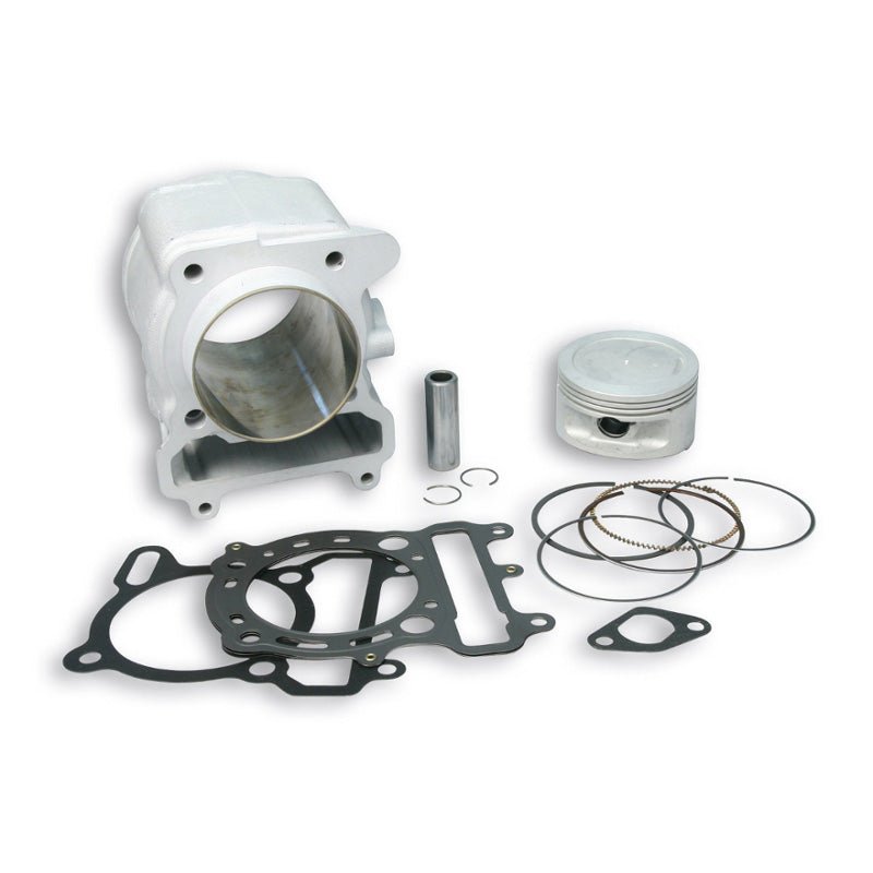 MALOSSI ALUMINUM CYLINDER KIT (FILTRES_A_AIR) - DRIVEN Canada's Powersports 31 9578filtres_a_air