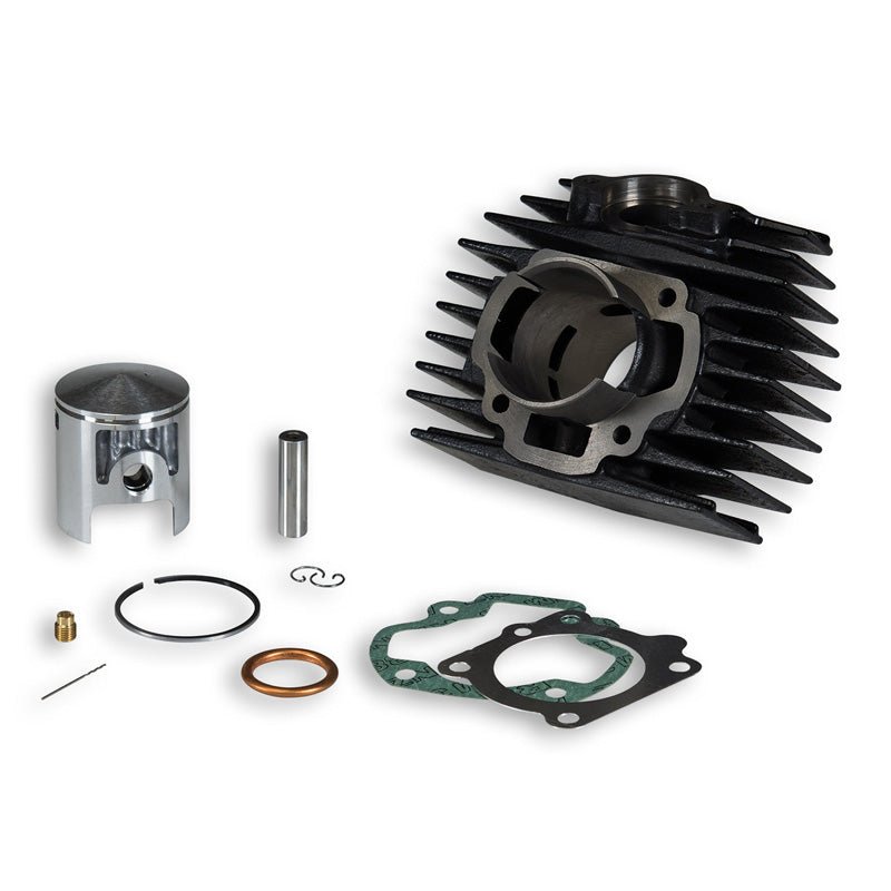 MALOSSI CAST IRON CYLINDER KIT 50CC (31 3642) - DRIVEN Canada's Powersports 31 364231 3642