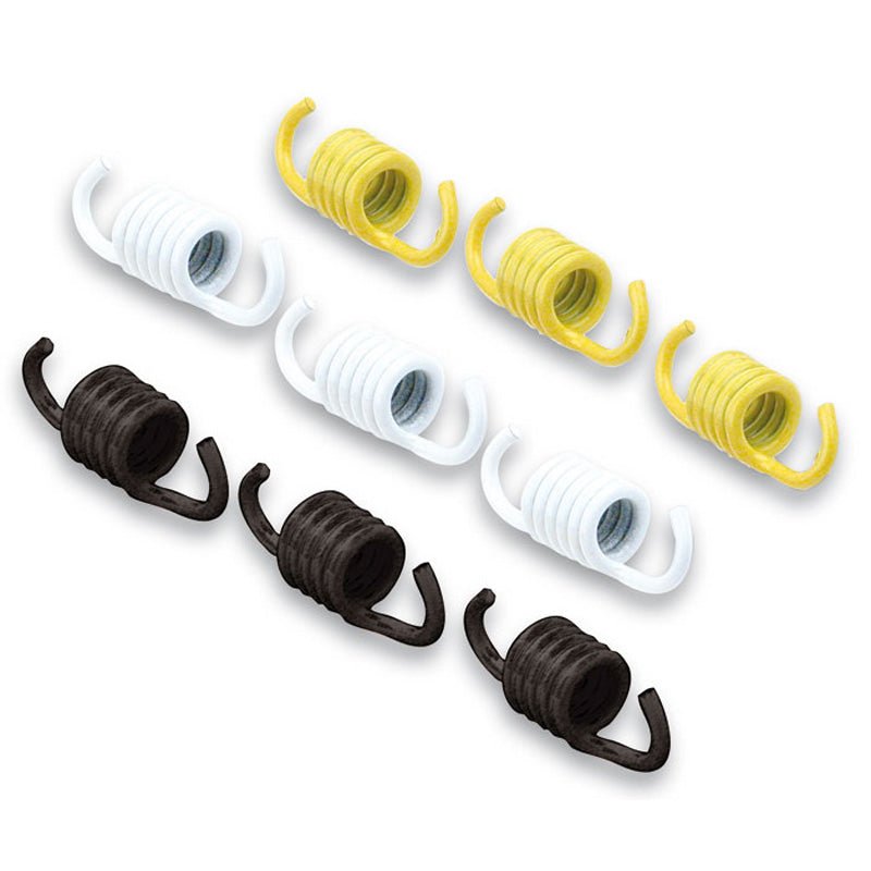 MALOSSI CLUTCH SPRINGS (29 7454S) - DRIVEN Canada's Powersports 44429745429 7454S