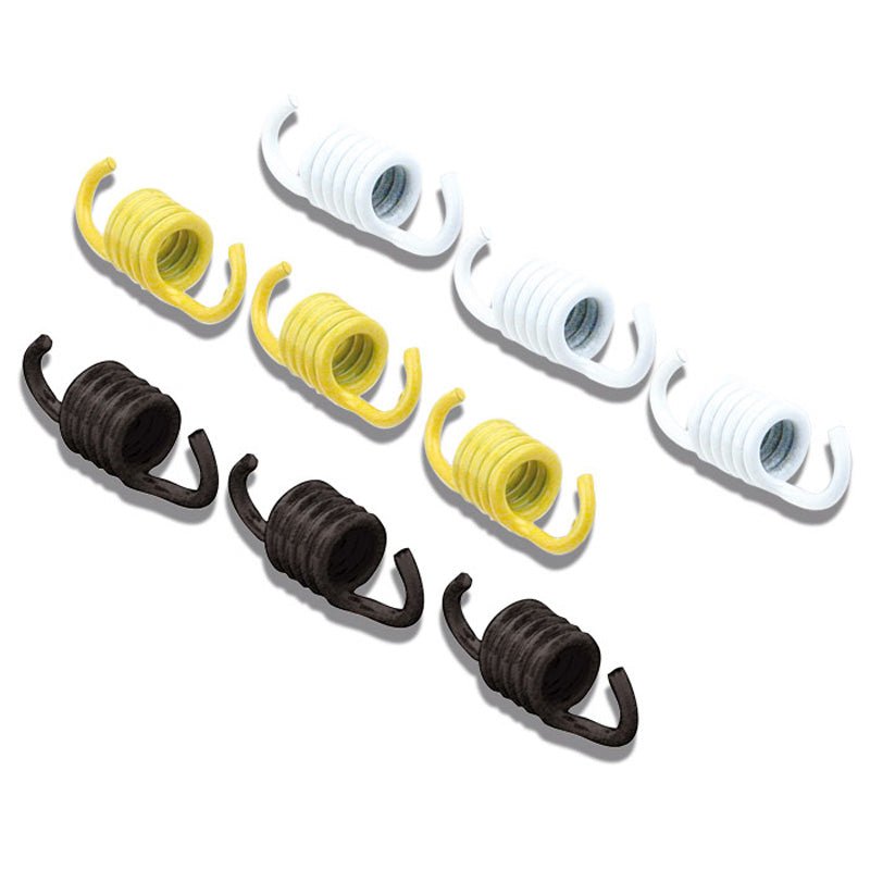 MALOSSI CLUTCH SPRINGS (29 7714S) - DRIVEN Canada's Powersports 29 7714S29 7714S