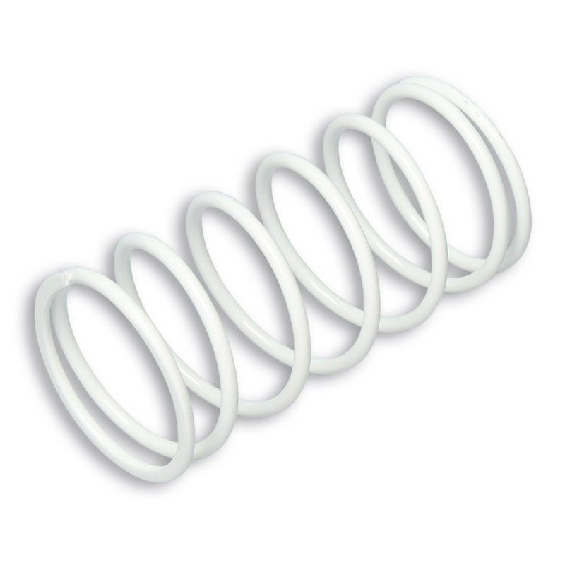 MALOSSI VARIATOR SPRING (29 8360SW) - DRIVEN Canada's Powersports 44429836029 8360SW