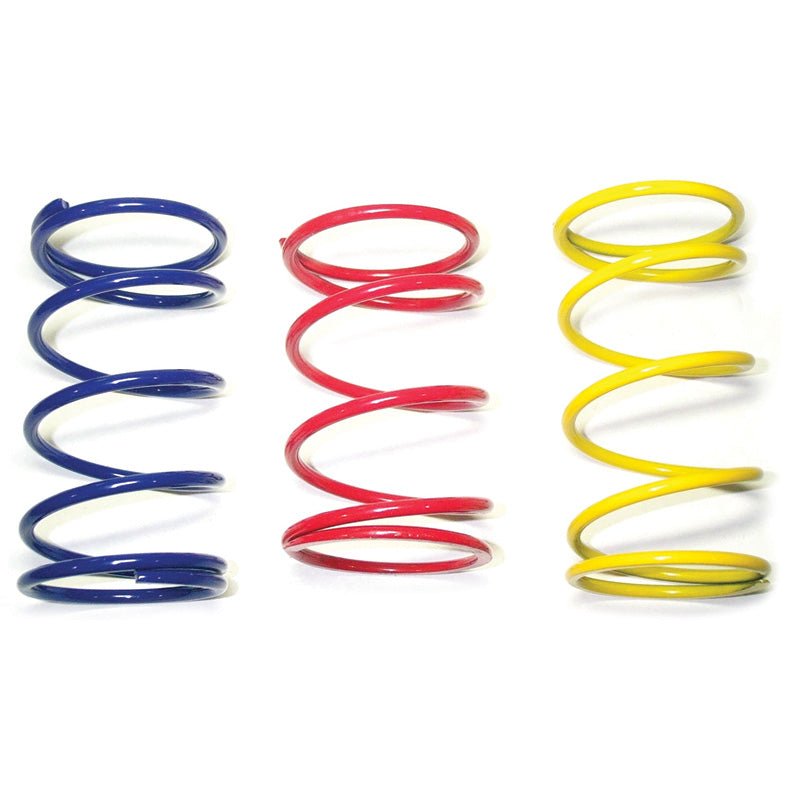 MALOSSI VARIATOR SPRING (2911388.Y0) - DRIVEN Canada's Powersports 2911388.Y02911388.Y0