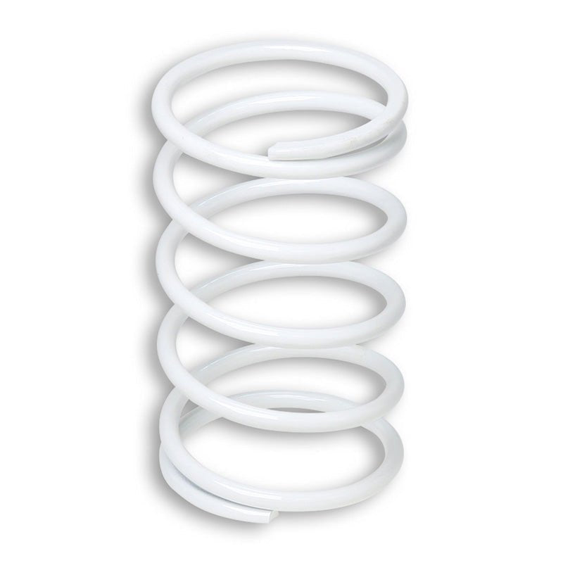 MALOSSI VARIATOR SPRING - DRIVEN Canada's Powersports 2913003.W02913003.W0