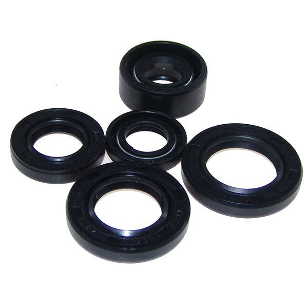 MOGO/OUTSIDE DISTRIBUTING MOGO PARTS OIL SEAL KIT (02 - 1000) - DRIVEN Canada's Powersports 87428500008202 - 1000
