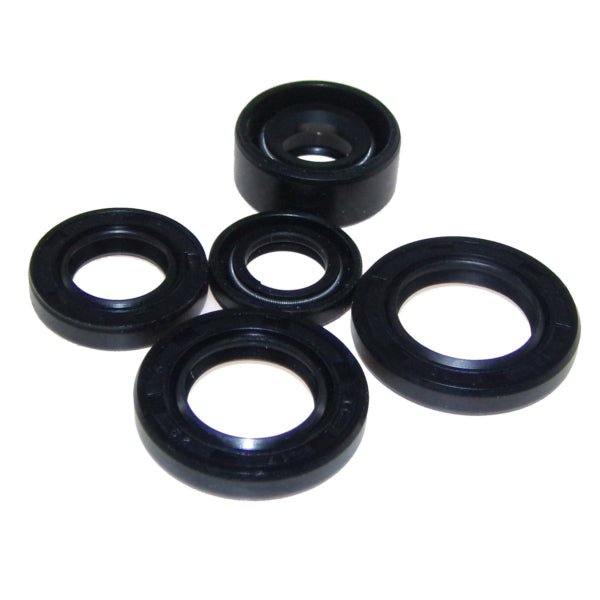 MOGO/OUTSIDE DISTRIBUTING MOGO PARTS OIL SEAL KIT (02 - 1000) - DRIVEN Canada's Powersports 87428500008202 - 1000