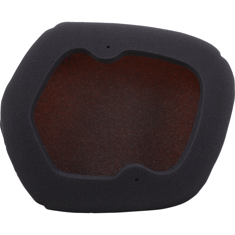 PERFORMANCE AIR FILTER - Driven Powersports Inc.8720239738339154224FR