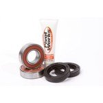 PIVOT WORKS WHEEL BEARING KIT (PWFWS - K13 - 000) - DRIVEN Canada's Powersports PWFWS - K13 - 000PWFWS - K13 - 000
