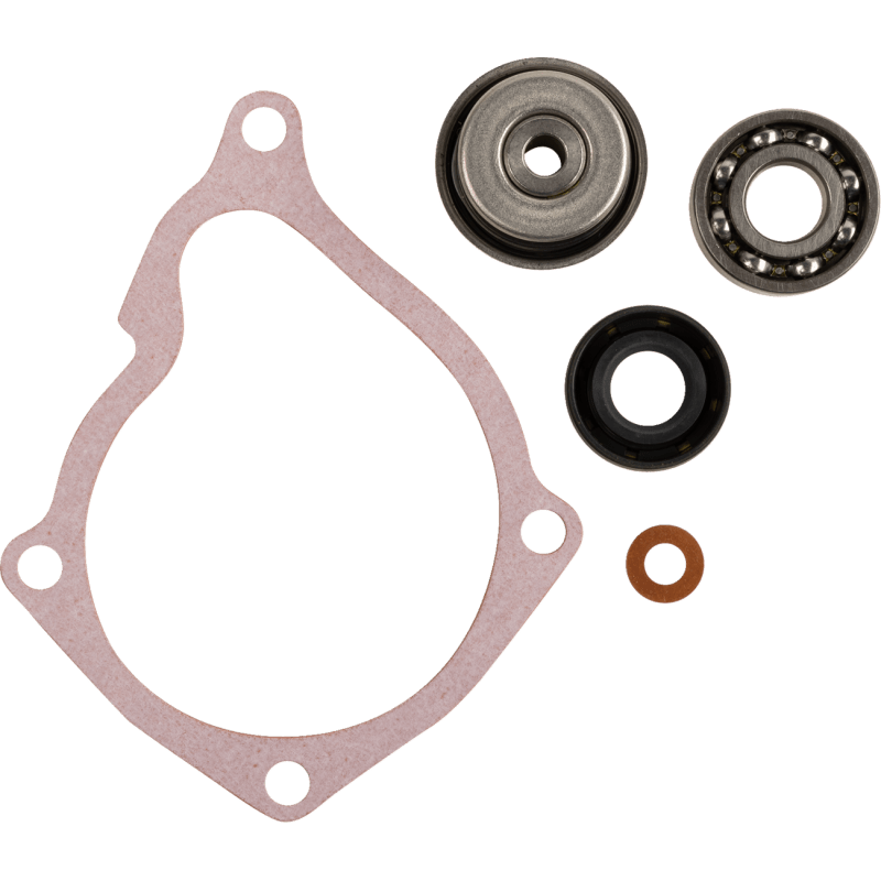 PROX REPR KT WTRPMP SPRTMN 500 (57.7421) - DRIVEN Canada's Powersports 57.7421