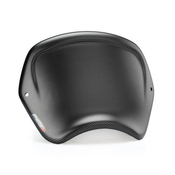 Puig Front Plate (ABS) TRI T100 18 Carbon - DRIVEN Canada's Powersports 8.43656E+129191C