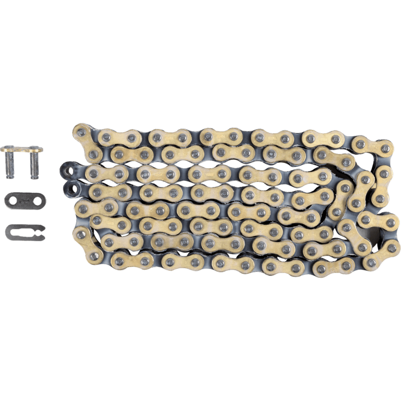 REGINA 420 OROY CHAIN 100 LINKS (124OROY/1019) - DRIVEN Canada's Powersports 124OROY/1019