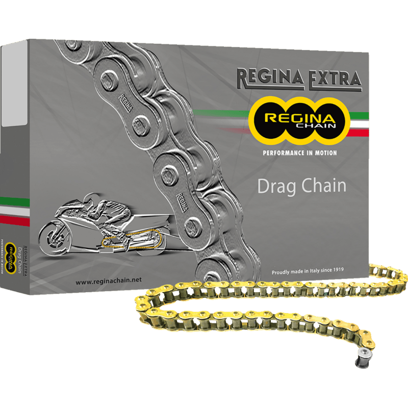 REGINA 520 DR CHAIN 130 LINKS (135DR/1001) - DRIVEN Canada's Powersports 135DR/1001