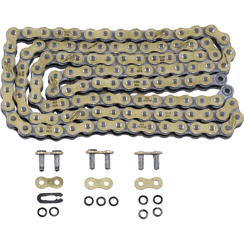 REGINA 520 ZSE X 120 LINKS - Driven Powersports Inc.135ZSE/1004