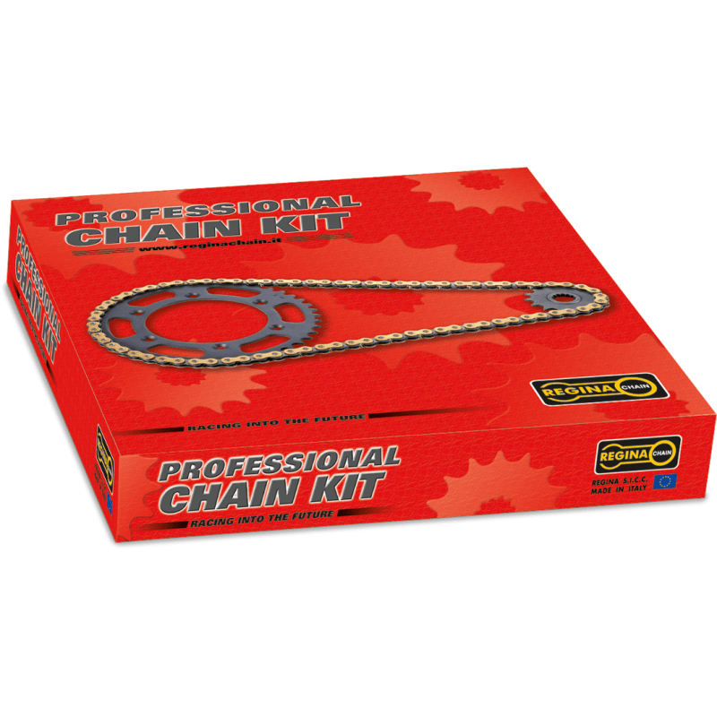 REGINA OEM CHAIN SPROCKET KIT CBR600F4 - Driven Powersports Inc.137ZRP112KHO007