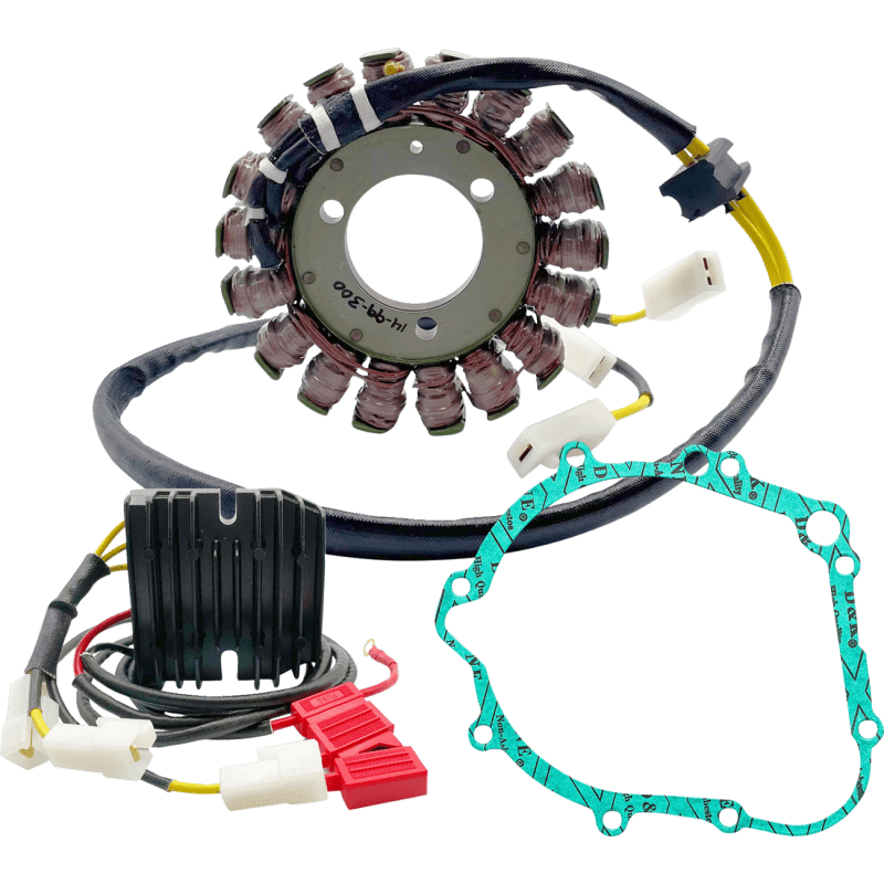 Rick's Motorsport Electric Chargin Kit Lith - DRIVEN Canada's Powersports 14-99-300