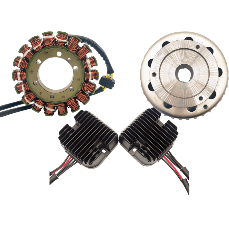 Rick's Motorsport Electric Charging Kit Double Shot - DRIVEN Canada's Powersports 99-500H