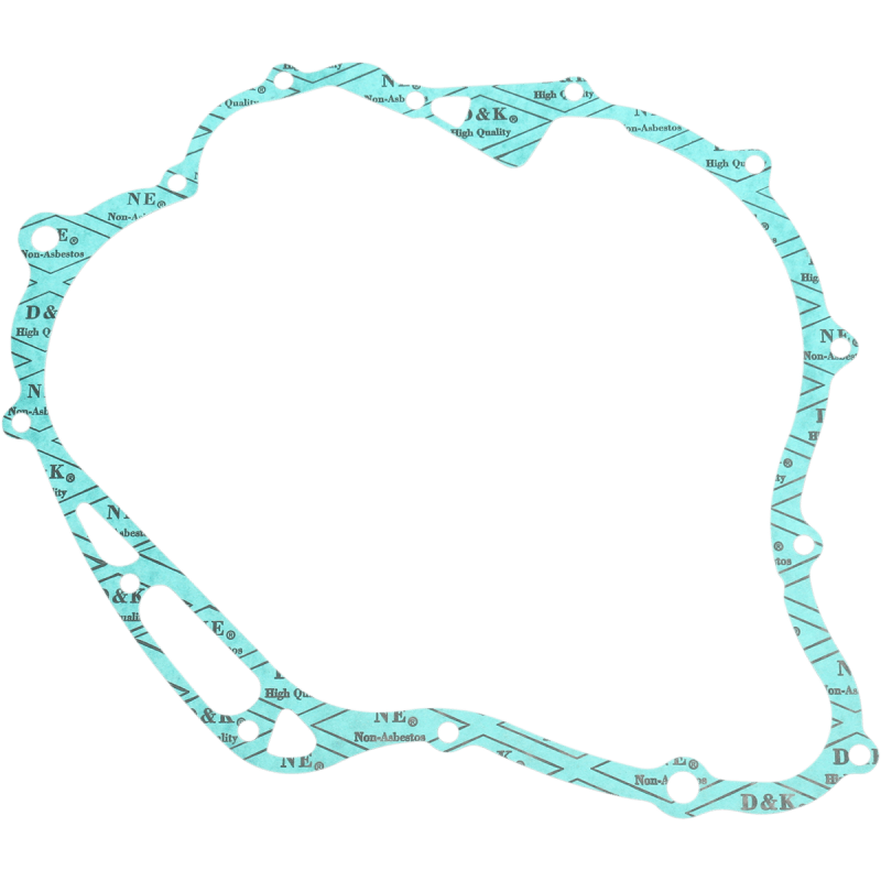 RICK'S MOTORSPORT ELECTRIC GASKET - Driven Powersports Inc.25 - 401
