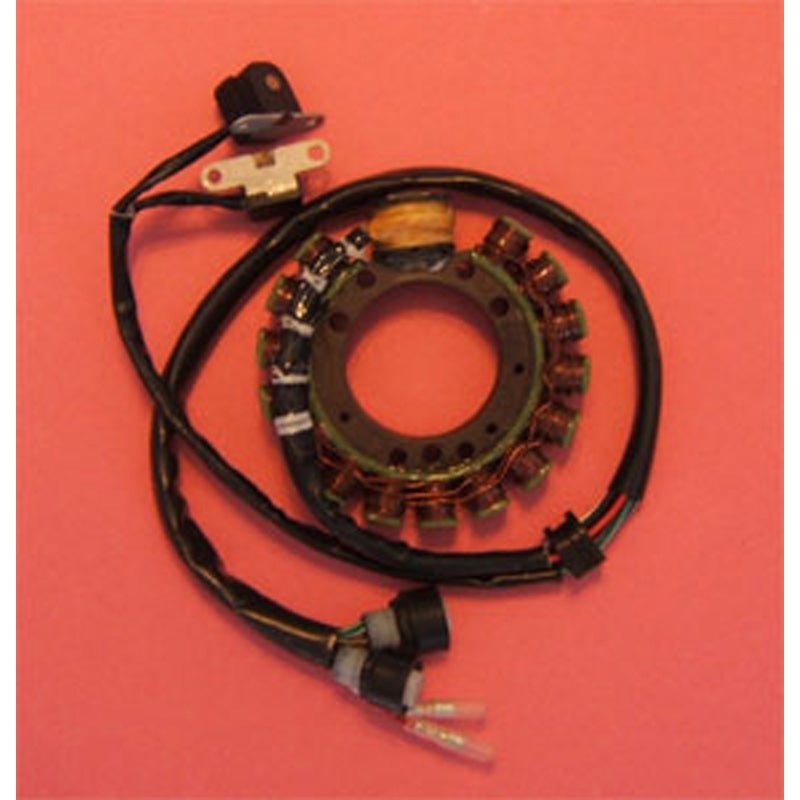 RICK'S MOTORSPORT ELECTRIC STATOR (21 - 900) - Driven Powersports Inc.21 - 90021 - 900