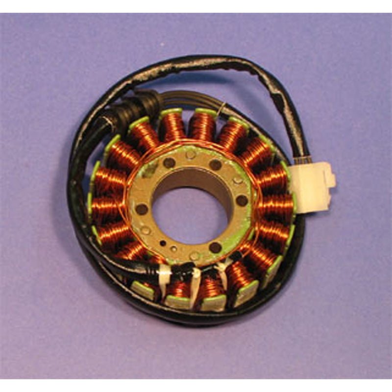 RICK'S MOTORSPORT ELECTRIC STATOR (21 - 121) - Driven Powersports Inc.21 - 12121 - 121