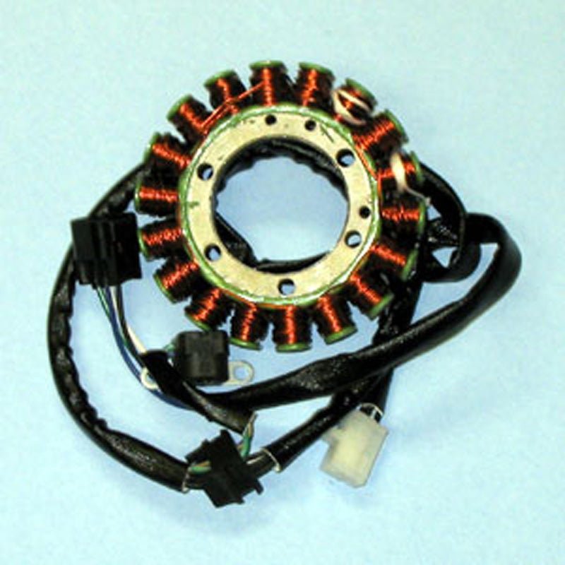 Rick's Motorsport Electric Stator - DRIVEN Canada's Powersports 21-807H21-807H