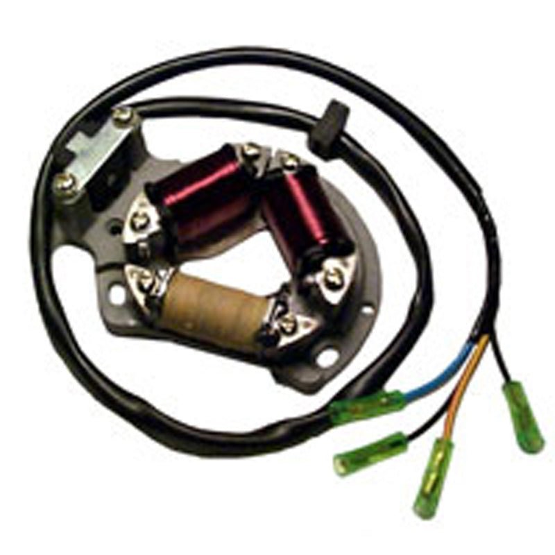 RICK'S MOTORSPORT ELECTRIC STATOR (21 - 802H) - Driven Powersports Inc.21 - 802H21 - 802H