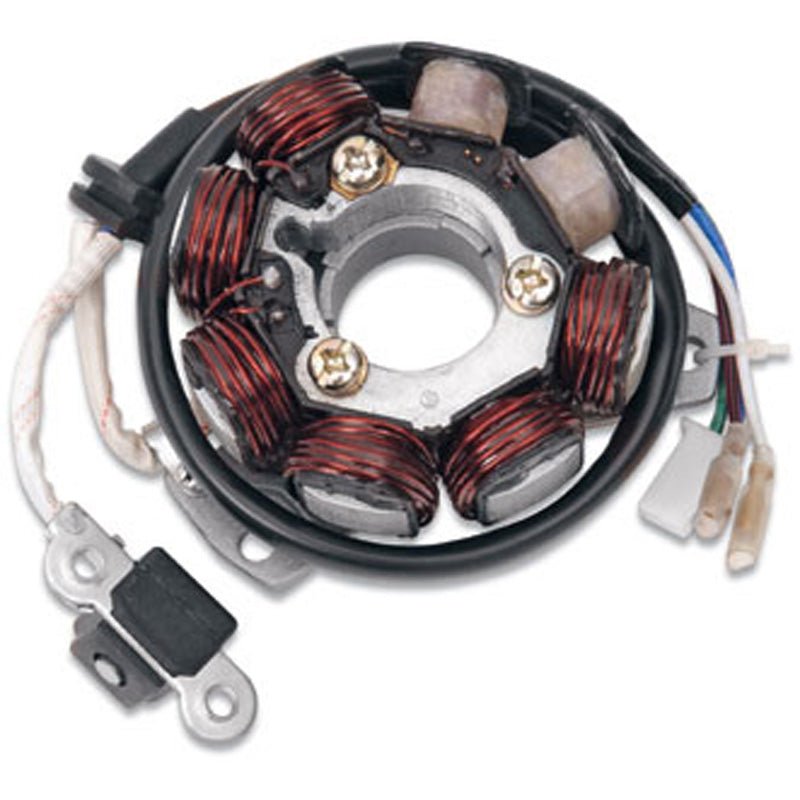 RICK'S MOTORSPORT ELECTRIC STATOR - Driven Powersports