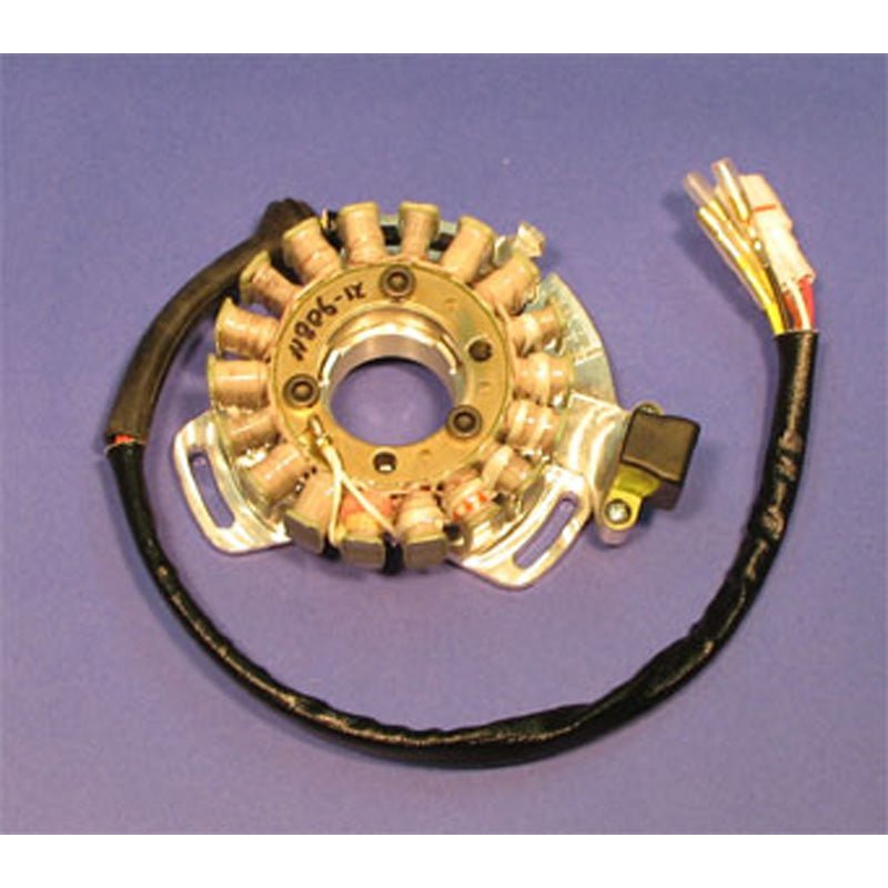 RICK'S MOTORSPORT ELECTRIC STATOR (21 - 908H) - Driven Powersports Inc.21 - 908H21 - 908H