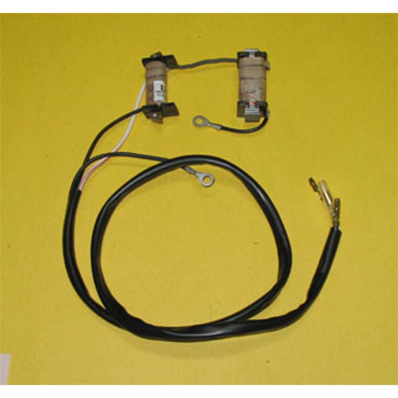 RICK'S MOTORSPORT ELECTRIC STATOR (22 - 780) - Driven Powersports Inc.22 - 78022 - 780