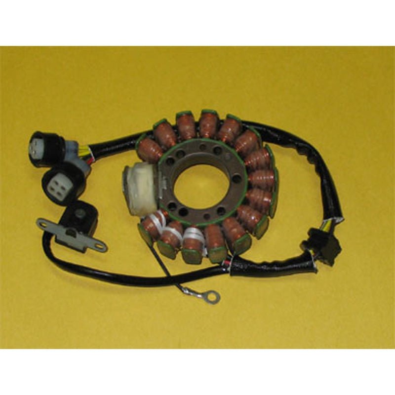 RICK'S MOTORSPORT ELECTRIC STATOR (21 - 902) - Driven Powersports Inc.21 - 90221 - 902