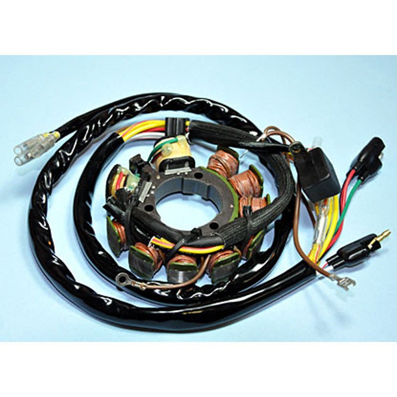 RICK'S MOTORSPORT ELECTRIC STATOR (21 - 553) - Driven Powersports Inc.21 - 55321 - 553
