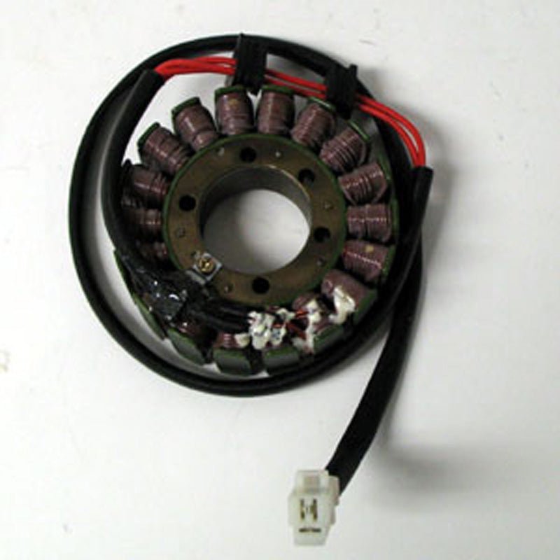 RICK'S MOTORSPORT ELECTRIC STATOR (21 - 111) - Driven Powersports Inc.21 - 11121 - 111
