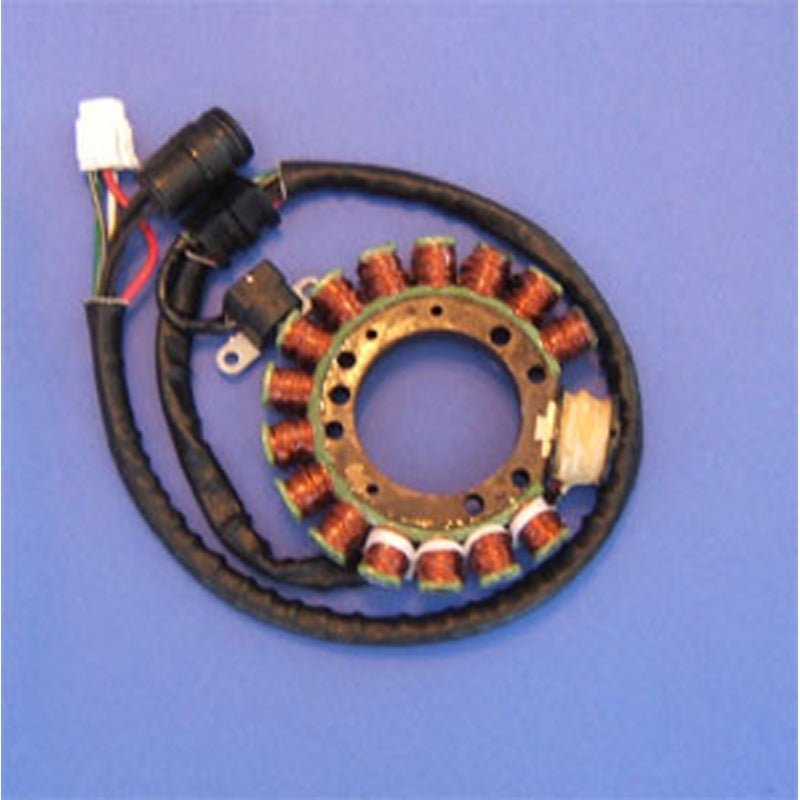 RICK'S MOTORSPORT ELECTRIC STATOR (21 - 914) - Driven Powersports Inc.21 - 91421 - 914