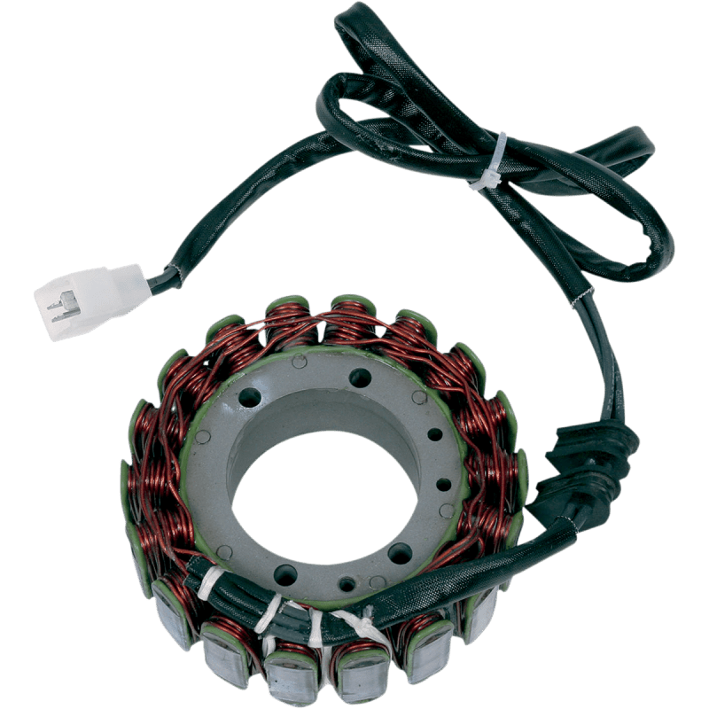 RICK'S MOTORSPORT ELECTRIC STATOR - Driven Powersports Inc.21 - 107