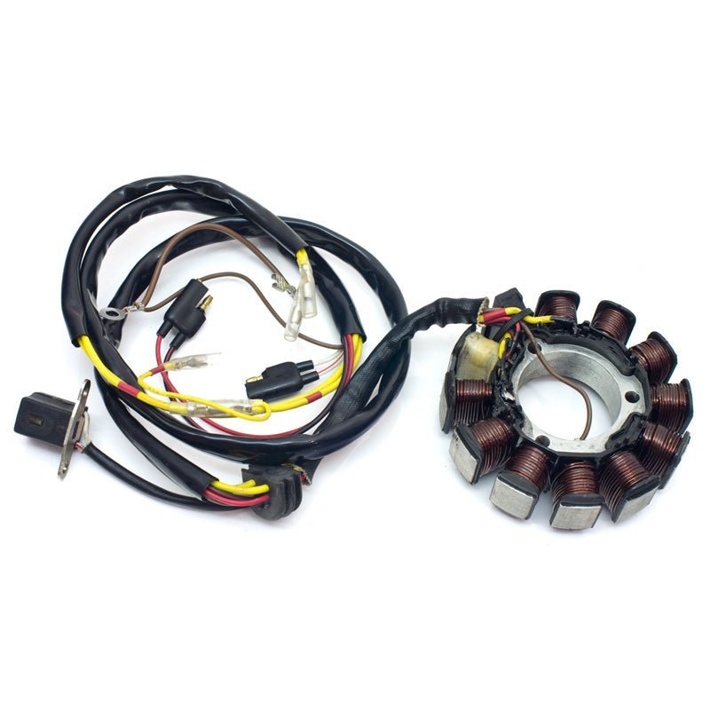 RICK'S MOTORSPORT ELECTRIC STATOR (21 - 552) - Driven Powersports Inc.21 - 55221 - 552
