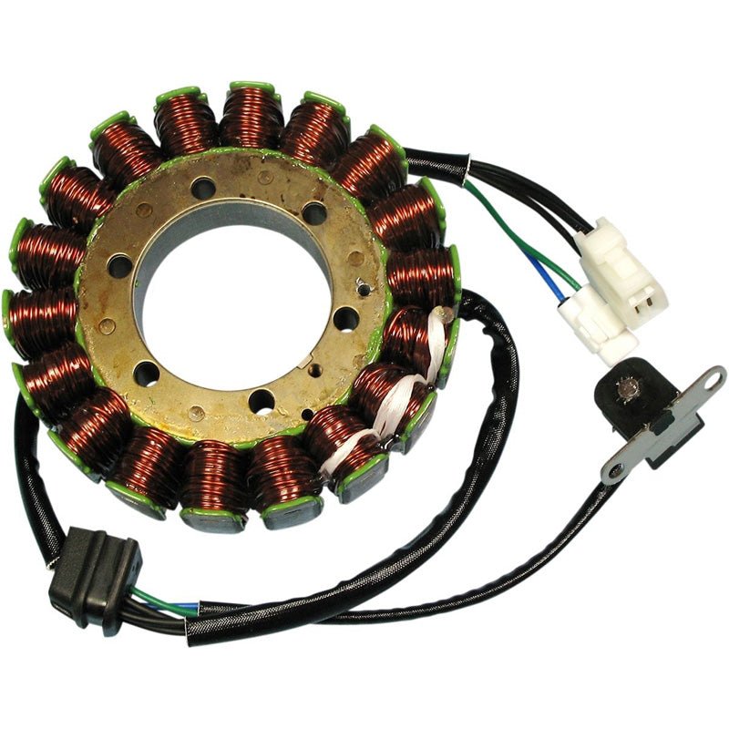 RICK'S MOTORSPORT ELECTRIC STATOR - Driven Powersports