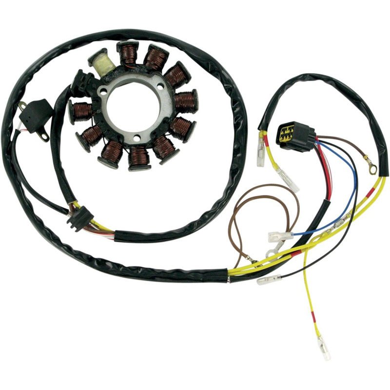 RICK'S MOTORSPORT ELECTRIC STATOR (21 - 556) - Driven Powersports Inc.21 - 55621 - 556