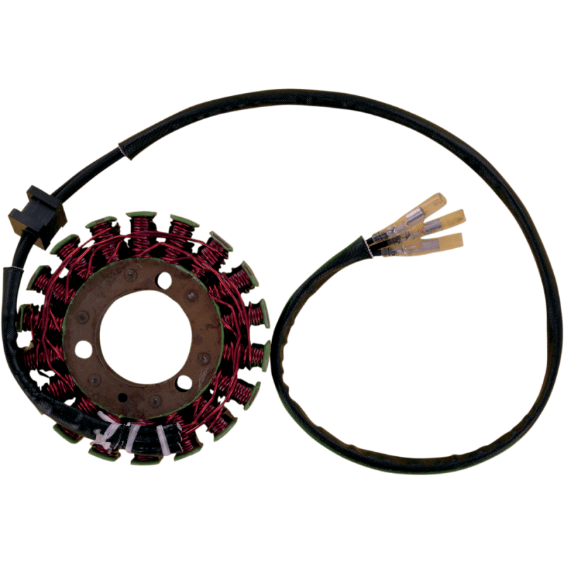 RICK'S MOTORSPORT ELECTRIC STATOR - Driven Powersports Inc.21 - 203