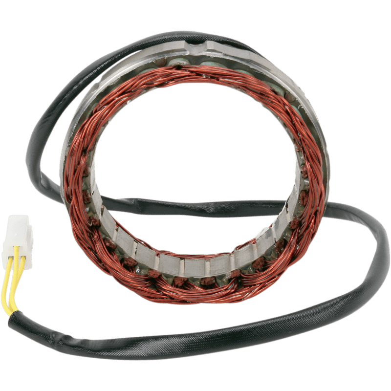 RICK'S MOTORSPORT ELECTRIC STATOR - Driven Powersports Inc.21 - 420