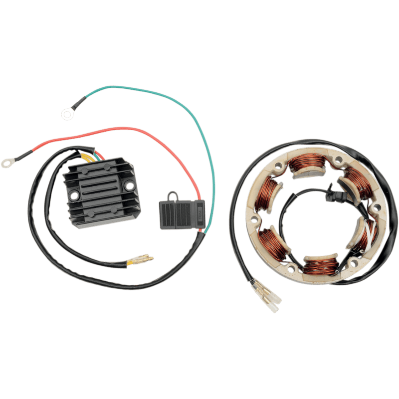 RICK'S MOTORSPORT ELECTRIC STATOR - Driven Powersports Inc.99 - 101