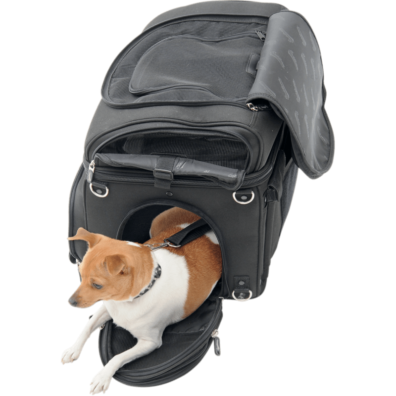 SADDLEMEN CONVERTIBLE PET CARRIER & CARGO BAG (35150131) - DRIVEN Canada's Powersports 35150131