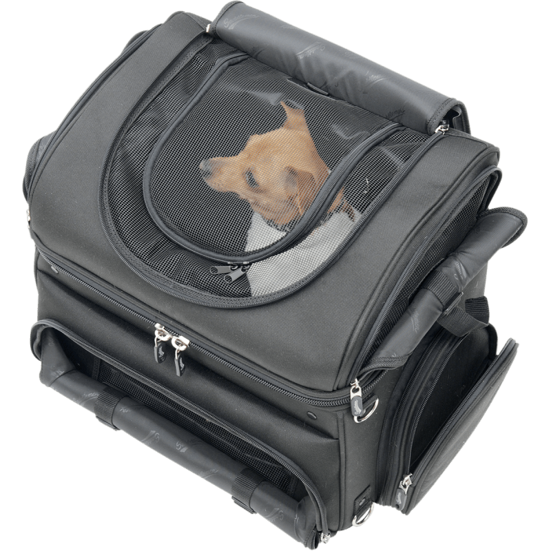 SADDLEMEN CONVERTIBLE PET CARRIER & CARGO BAG (35150131) - DRIVEN Canada's Powersports 35150131