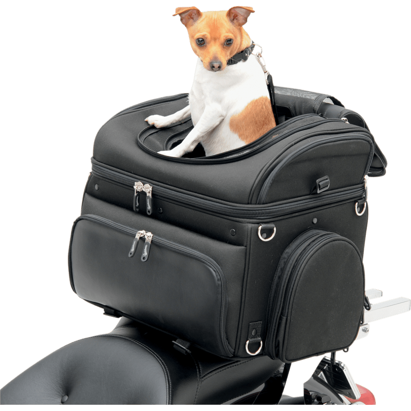 SADDLEMEN CONVERTIBLE PET CARRIER & CARGO BAG (35150131) - DRIVEN Canada's Powersports 35150131