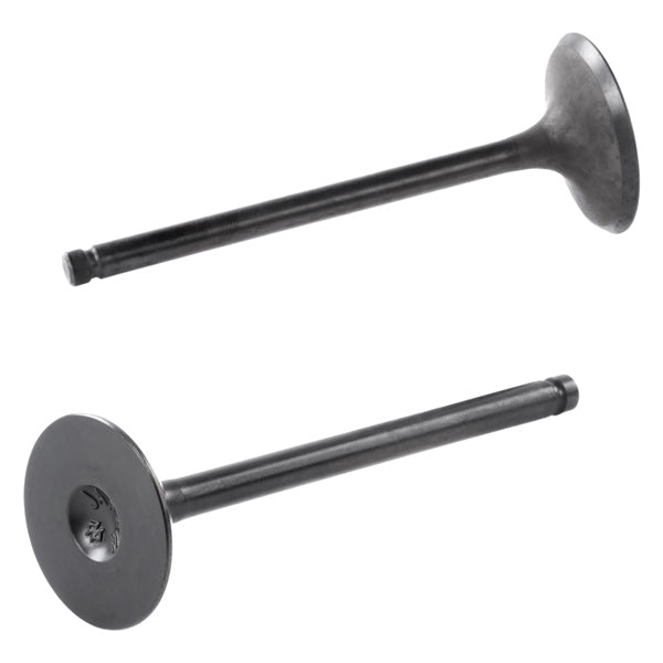 Shindy Engine Valve Kit - DRIVEN Canada's Powersports 0720507-205