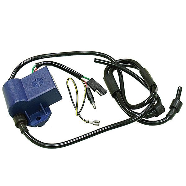 SPX CDI IGNITION BOX (01 - 143 - 43) - DRIVEN Canada's Powersports 68257702693701 - 143 - 43
