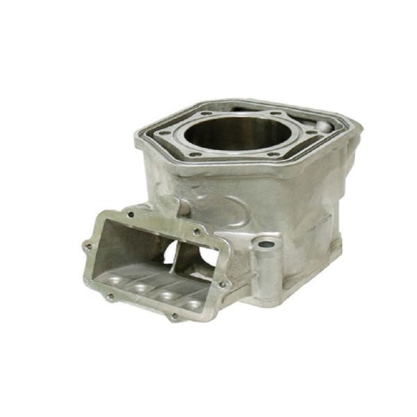 SPX ENGINE CYLINDER (SM - 09602) - DRIVEN Canada's Powersports 682577022168SM - 09602