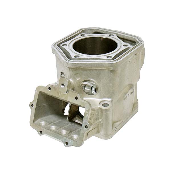 SPX ENGINE CYLINDER (SM - 09603) - DRIVEN Canada's Powersports 682577022175SM - 09603